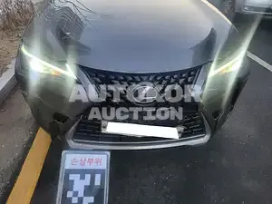 2019, Lexus / UX 250, VIN: JTHY6JBH8K2026085, hybrid
