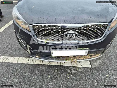2015, Kia / Sorento, VIN: KNAPK81BBGA139481, 188337 км., diesel
