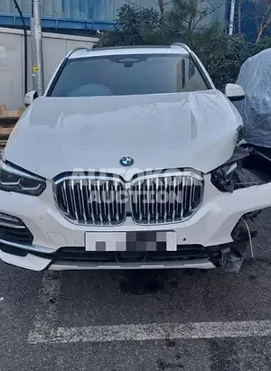 2019, BMW / 530, 78244 км., diesel, 2993 куб.см.