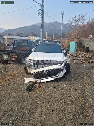 2022, Hyundai / Santa FE, VIN: KMHS581HHNU423032, 143267 км., diesel, 2151 куб.см.
