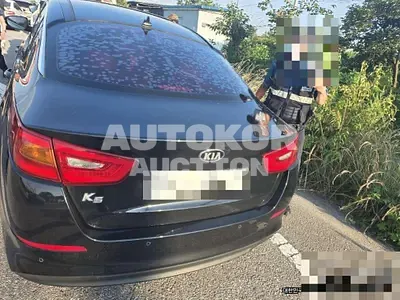 2015, BMW / B5, 163310 км., gas, 2000 куб.см.