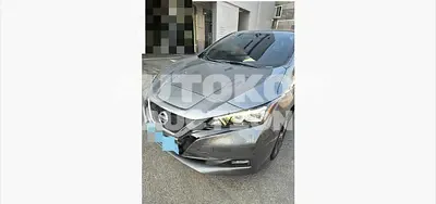 2019, Nissan / Leaf, 186726 км., electric, 110 куб.см.