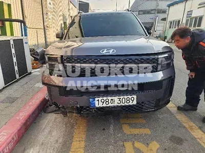 2024, Hyundai / Santa FE, 64004 км., gas, 2500 куб.см.