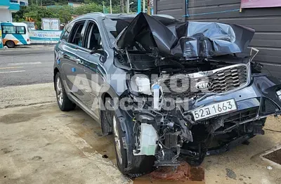 2020, Kia / Sorento, VIN: KNAPH81BBLA638551, diesel