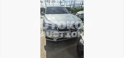 2016, BMW / 530, 221273 км., diesel, 2993 куб.см.