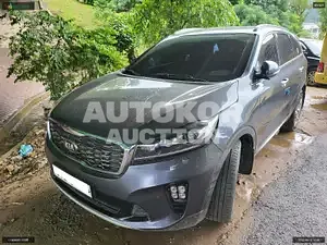 2019, Kia / Sorento, VIN: KNAPH81ABLA599692, diesel