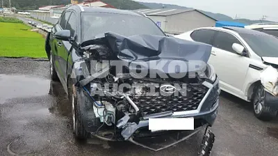 2019, Hyundai / Tucson, VIN: KMHJ3817GKU928739, 102531 км., diesel