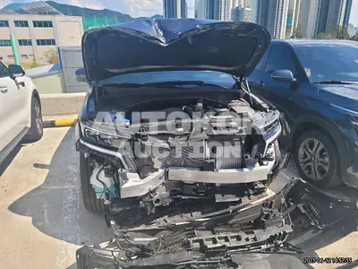 2023, Kia / Sorento, VIN: KNARM81FGPA204044, 10000 км., gas