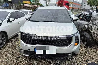 2025, Kia / Carnival, 10606 км., diesel, 2151 куб.см.