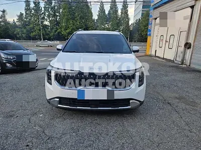 2026, Kia / Carnival, 10000 км., hybrid, 1600 куб.см.