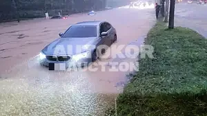 2017, BMW / 530, 45000 км., gas, 1998 куб.см.