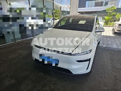 2025, Tesla / Model Y, 679 км., electric