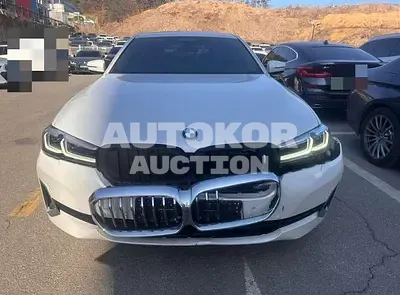 2021, BMW / 520, gas