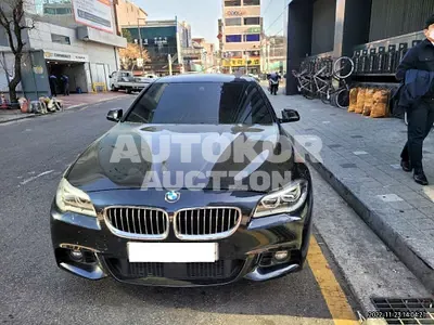 2016, BMW / 528, VIN: WBA5A5109GG602960, 87511 км., gas