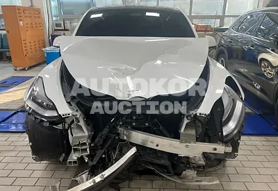 2022, Tesla / Model Y, VIN: 7SAYGDEE3NF495672, 20000 км., electric