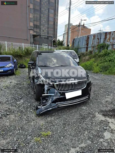 2016, Kia / Carnival, VIN: KNAMC81ABGS198778, 171093 км., diesel