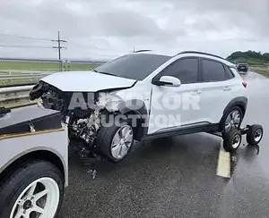 2020, Hyundai / Kona, VIN: KMHK381GFLU104243, electric