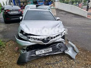 2019, Toyota / Camry, VIN: JTNB21HK4K3026516, hybrid
