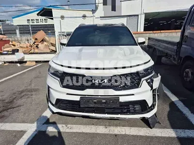 2021, Kia / Sorento, 102499 км., diesel, 2151 куб.см.