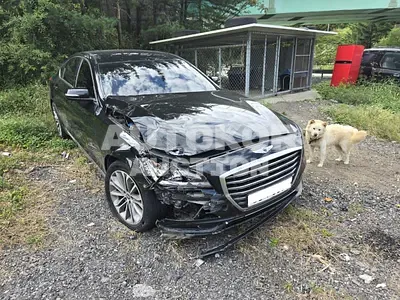 2016, Genesis / G80, VIN: KMHGL41DBHU179625, 178806 км., gas