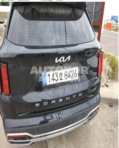 2022, Kia / Sorento, VIN: KNARH81FGNA137783, gas