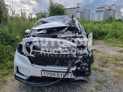 2021, Kia / Carnival, VIN: KNANB81BBMS069976, diesel
