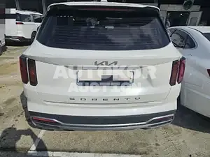 2022, Kia / Sorento, VIN: KNARF81FGNA151478, 50781 км., gas