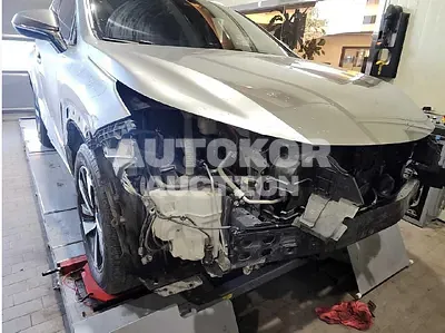 2019, Lexus / NX 300, VIN: JTJBJRBZ3K2119994, 60908 км., hybrid