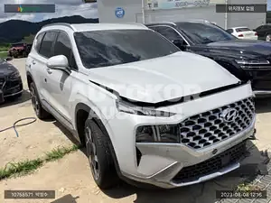 2020, Hyundai / Santa FE, VIN: KMHS381HGMU310238, diesel