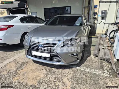 2018, Lexus / ES 300, VIN: JTHBW1GG7J2172207, hybrid