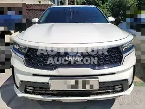2020, Kia / Sorento, VIN: KNARL81BHMA045683, 34551 км., diesel