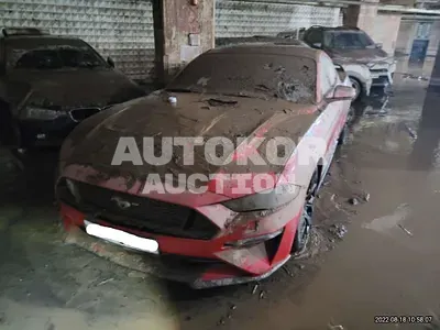 2019, Ford / Mustang, VIN: 1FA6P8TH9K5128173, gas
