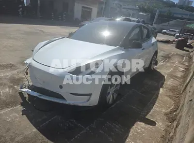 2024, Tesla / Model Y, 22000 км., electric, 173 куб.см.