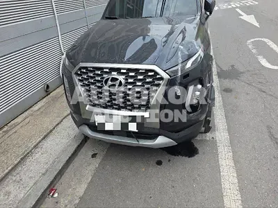 2019, Hyundai / Palisade, 146825 км., diesel, 2200 куб.см.