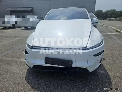 2025, Tesla / Model Y, 1129 км., electric