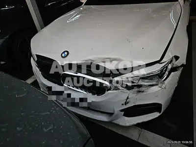 2019, BMW / 530, 87962 км., gas