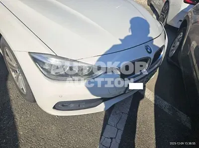 2016, BMW / 320, VIN: WBA8D1100GK775955, 218168 км., diesel