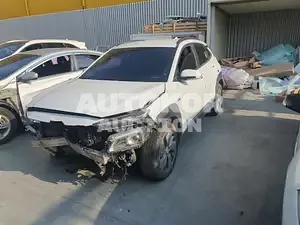 2019, Hyundai / Kona, VIN: KMHK381GFKU026006, electric