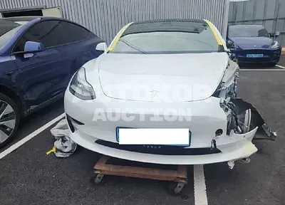 2020, Tesla / Model 3, VIN: 5YJ3E1EB8LF731411, 80754 км., electric