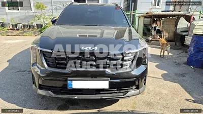 2024, Kia / Sorento, VIN: KNARH81GBSA348234, hybrid