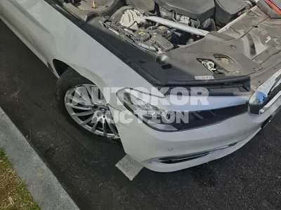 2019, BMW / 520, VIN: WBAJK7101KGL29139, 40950 км., gas
