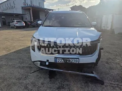 2025, Kia / Carnival, VIN: KNANB81BBSS495497, 25095 км., diesel, 2200 куб.см.