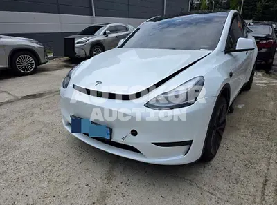 2024, Tesla / Model Y, electric