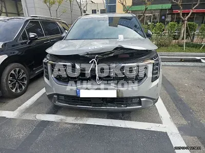 2024, Kia / Carnival, 31058 км., hybrid, 1600 куб.см.