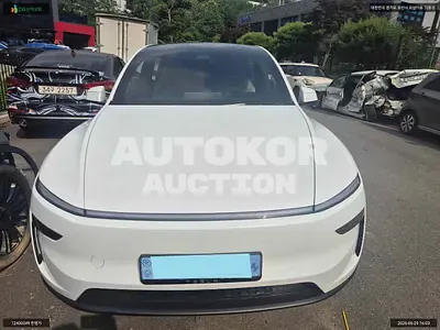 2026, Tesla / Model Y, VIN: LRWYGCEK6TC772979, electric, 1 куб.см.