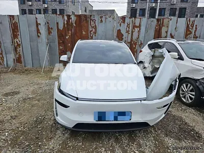 2025, Tesla / Model Y, electric