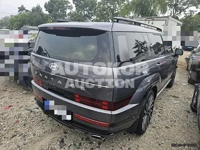 2024, Hyundai / Santa FE, 8969 км., gas