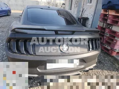 2019, Ford / Mustang, 100000 км., gas