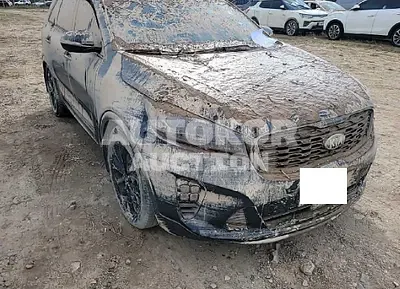 2019, Kia / Sorento, VIN: KNAPK81BBKA491995, diesel