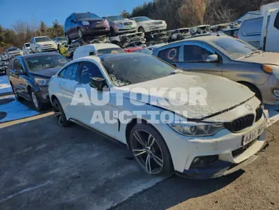 2015, BMW / 420, VIN: WBA4F1107FG313905, 182455 км., diesel